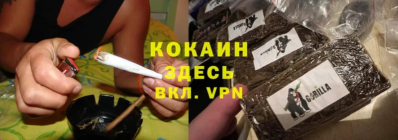 KRAKEN ссылки  Курчатов  Cocaine FishScale 